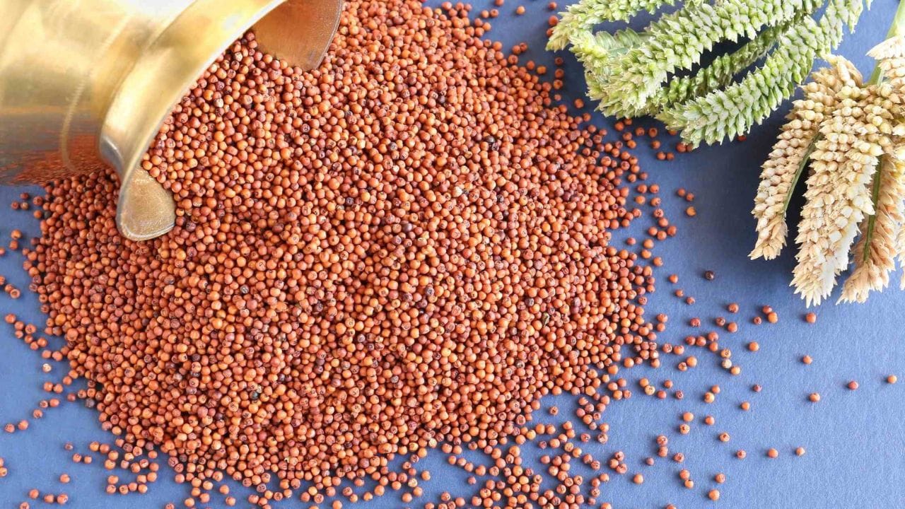 રાગી એક એવું અનાજ છે જે કેલ્શિયમ ઉપરાંત ફાઇબર અને આયર્ન માટે પણ ઓળખાય છે. રાગીની રોટલી, ઢોસા, ખીચડી અથવા પોરિજ રોજિંદા આહારમાં ઉમેરવાથી હાડકાંને જરૂરી પોષણ મળી શકે છે.