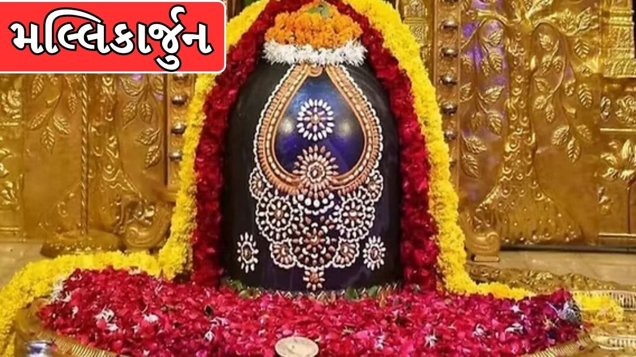 મલ્લિકાર્જુન: આંધ્ર પ્રદેશના મલ્લિકાર્જુન ખાતે કાર્તિકેયને મનાવવા અને તેમની નજીક રહેવા માટે ભગવાન શિવજી અને માતા પાર્વતીજી મલ્લિકાર્જુન જ્યોતિર્લિંગ સ્વરૂપે તે પર્વત પર નિવાસ કરવા લાગ્યા. (Image Source | Amar Granth)
