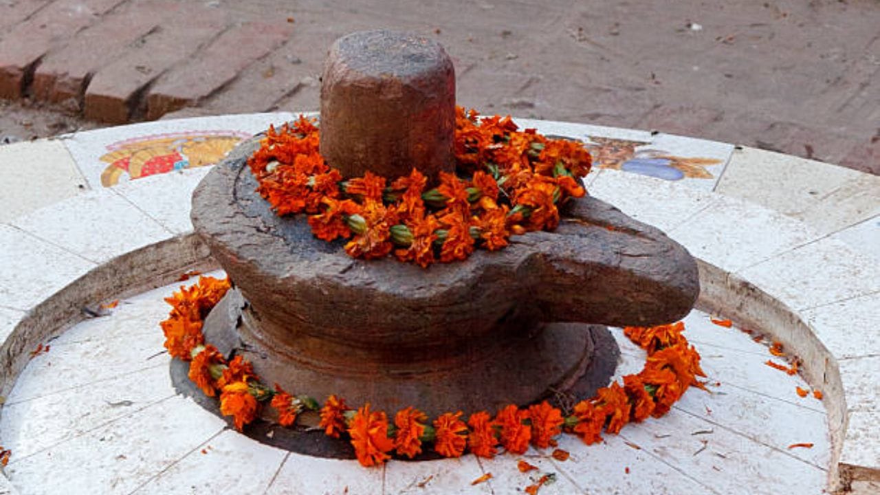 નોંધ : અહીં, પૂરી પાડવામાં આવેલી વિગતો માત્ર માન્યતા અનુસાર આધારિત છે. TV9 ગુજરાતી કોઈપણ પ્રકારની માહિતીને સમર્થન આપતું નથી. (Image Source | iStock)