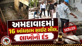 બિલ્ડરો સાવધાન! મચ્છરોનું બ્રિડિંગ મળ્યું તો AMC કરશે સીધી કાર્યવાહી