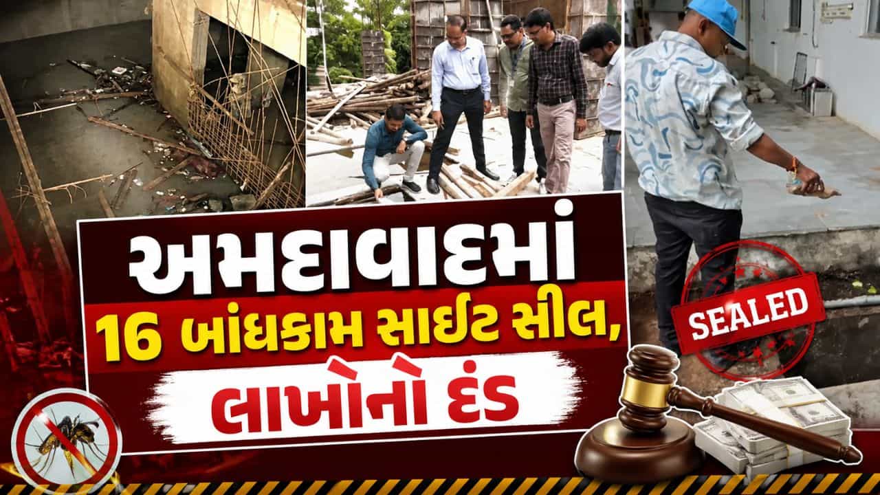બિલ્ડરો સાવધાન! મચ્છરોનું બ્રિડિંગ મળ્યું તો AMC કરશે સીધી કાર્યવાહી, 16 બિલ્ડિંગ સાઇટ સીલ, જુઓ Video