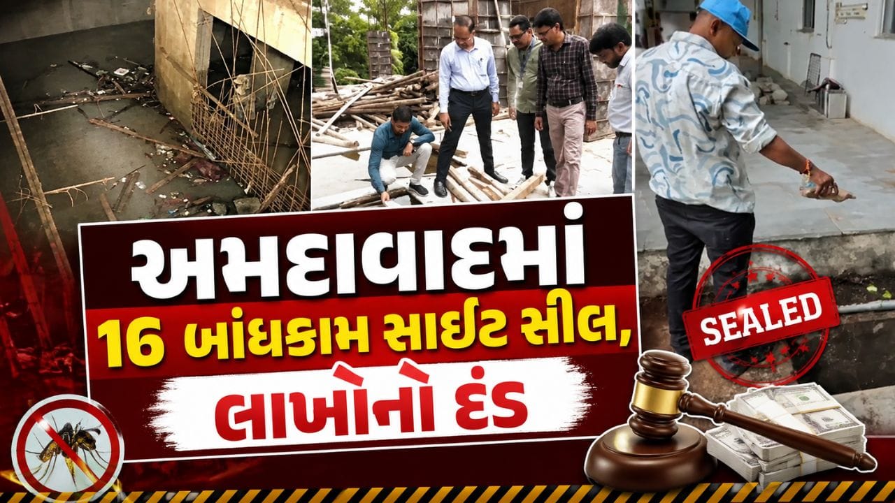 બિલ્ડરો સાવધાન! મચ્છરોનું બ્રિડિંગ મળ્યું તો AMC કરશે સીધી કાર્યવાહી, 16 બિલ્ડિંગ સાઇટ સીલ, જુઓ Video