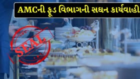 AMCની ફૂડ વિભાગની કાર્યવાહી, ખોરાકમાં જીવાત મળતા અનેક એકમો સીલ ! Video
