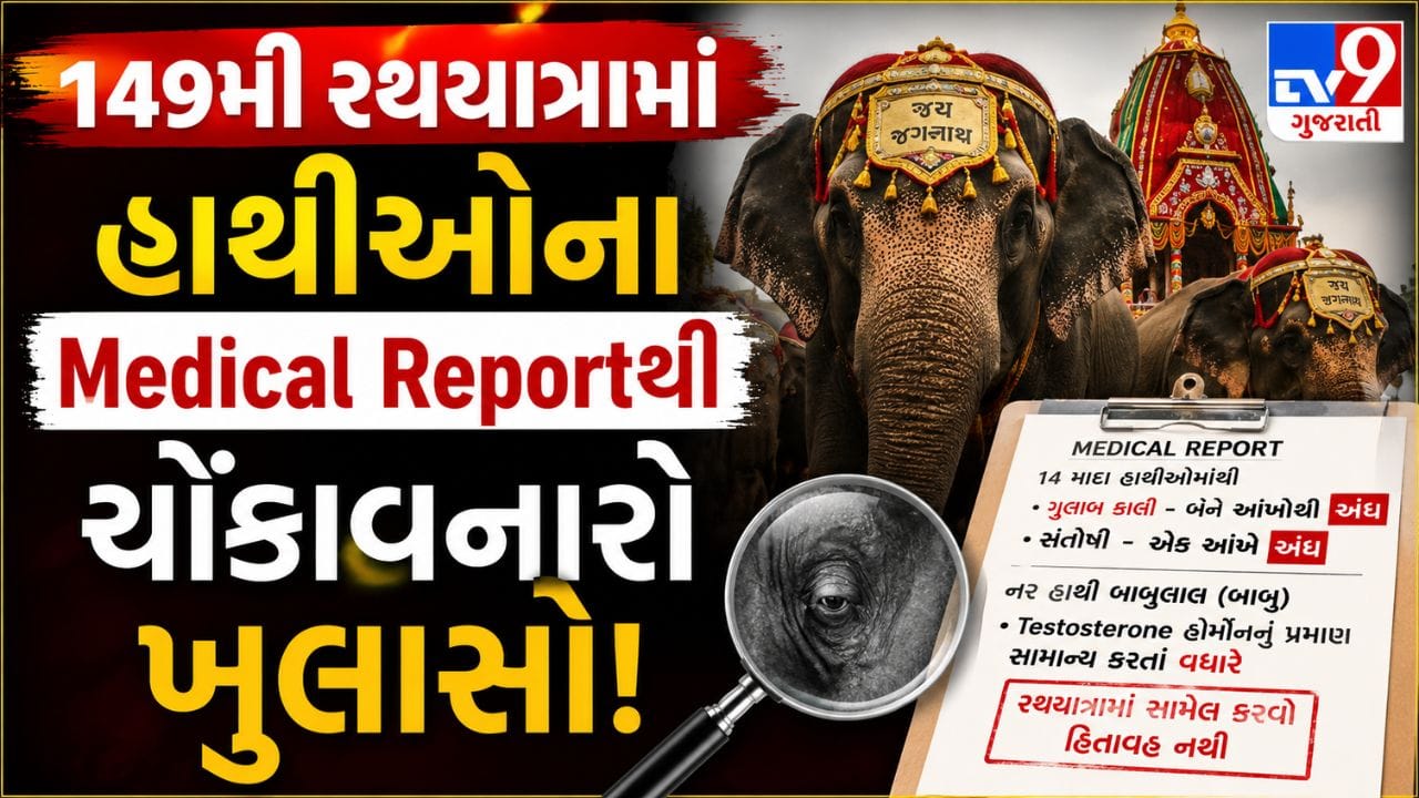 Breaking News: અમદાવાદની 149મી રથયાત્રામાં તંત્રની ઘોર બેદરકારી, અંધ અને કાબૂ બહાર જતાં હાથીઓને કરાયા સામેલ Breaking News: અમદાવાદની 149મી રથયાત્રામાં તંત્રની ઘોર બેદરકારી, અંધ અને કાબૂ બહાર જતાં હાથીઓને કરાયા સામેલ