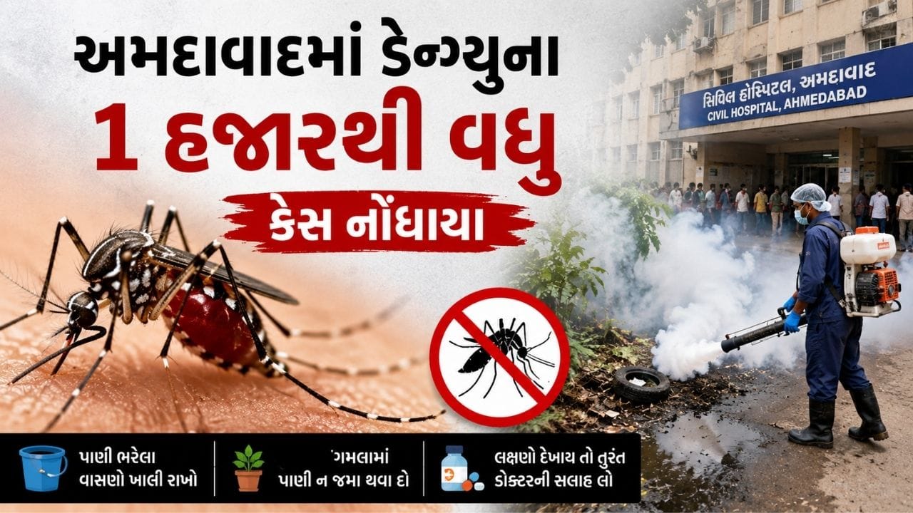 અમદાવાદમાં મચ્છરજન્ય રોગચાળો વકર્યો