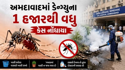 અમદાવાદમાં ડેન્ગ્યુના 1 હજારથી વધુ કેસ નોંધાયા