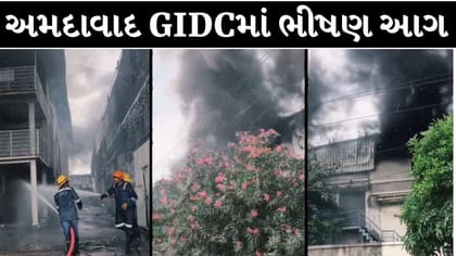 અમદાવાદના નરોડા GIDCમાં ભીષણ આગ ! Video
