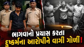 આનંદનગર દુષ્કર્મના આરોપીએ પોલીસ પર કર્યો હુમલો, ભાગતા પગમાં વાગી ગોળી