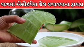 વાળમાં એલોવેરા જેલ લગાવવાના ફાયદા જાણો !