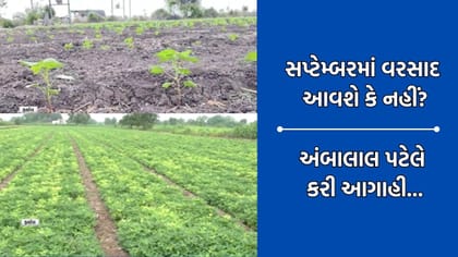સપ્ટેમ્બર મહિનામાં કેવો રહેશે વરસાદ, અંબાલાલ પટેલની એકદમ નવી આગાહી