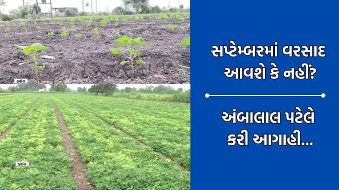સપ્ટેમ્બર મહિનામાં કેવો રહેશે વરસાદ, અંબાલાલ પટેલની એકદમ નવી આગાહી