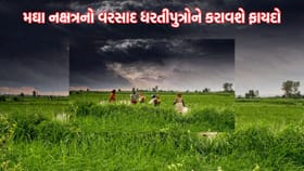 અંબાલાલે ખેડૂતોને આ નક્ષત્ર દરમિયાન પાણીને ઉપયોગ ન કરવાની આપી સલાહ
