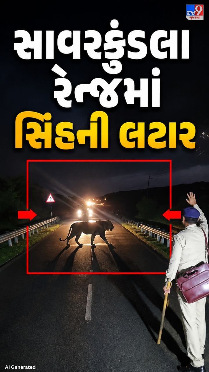 હાઈવે પર એકસાથે 7 સિંહ