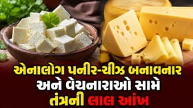 રાજ્યમાં એનાલોગ પનીર-ચીઝ સામે ફૂડ વિભાગની લાલ આંખ