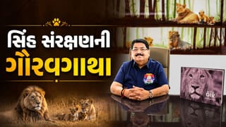 ગિરની ગર્જનાથી 891 સિંહોની ગૌરવગાથા સુધી… પરિમલ નથવાણીની યાદોમાં સિંહો