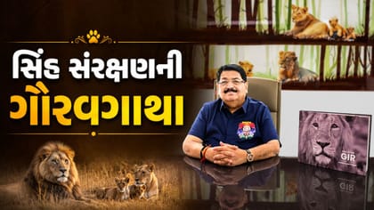 યાદોના વિશ્વમાં ગિર અને સિંહો સાથેનો ચાર દાયકાનો નાતો - પરિમલ નથવાણી
