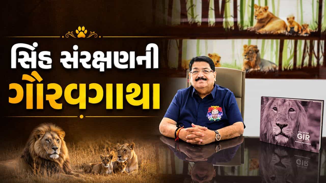 ગિરની ગર્જનાથી 891 સિંહોની ગૌરવગાથા સુધી… પરિમલ નથવાણીની યાદોમાં સિંહો