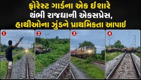 ફોરેસ્ટ ગાર્ડની સતર્કતાથી થંભી રાજધાની એક્સપ્રેસ, હાથીઓ બચ્યા