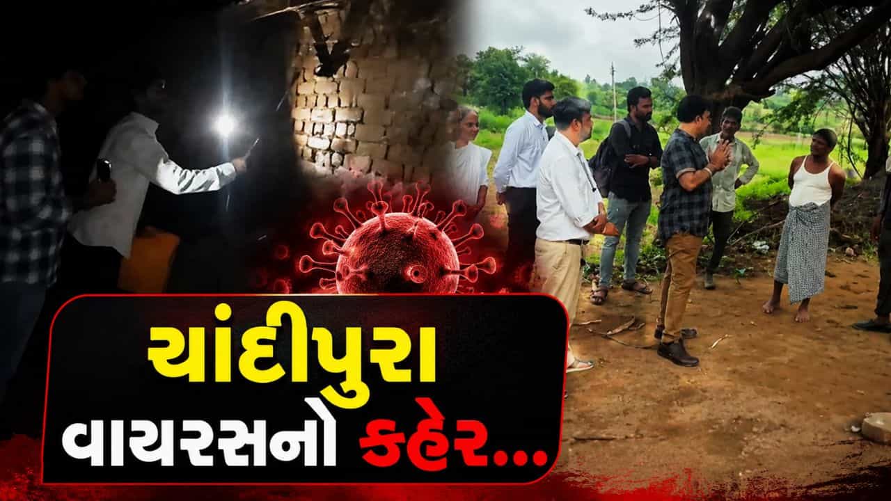 Breaking News : ચાંદીપુરા વાયરસનો ભય, બનાસકાંઠામાં બે બાળકોના મોતથી આરોગ્ય વિભાગ એલર્ટ, જુઓ Video
