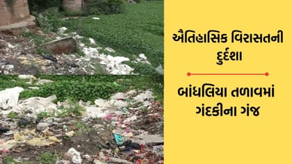 બહુચરાજીના ઐતિહાસિક બાંધલિયા તળાવની દુર્દશા, ગંદકી અને જળકુંભીનો ભરડો
