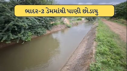 ભાદર-2 ડેમમાંથી સિંચાઈ માટે 100 ક્યુસેક પાણી છોડાયું
