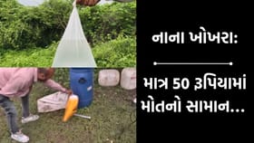 નાના ખોખરામાં ધમધમે છે દારૂની ફેક્ટરી, 50 રૂપિયામાં વેચાય છે મોતનો જામ