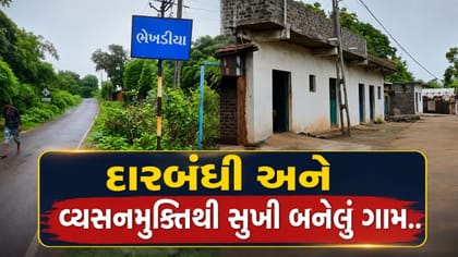 ગુજરાતના આ આદિવાસી ગામની પ્રેરણાદાયી ગાથા જાણી ચોંકી જશો