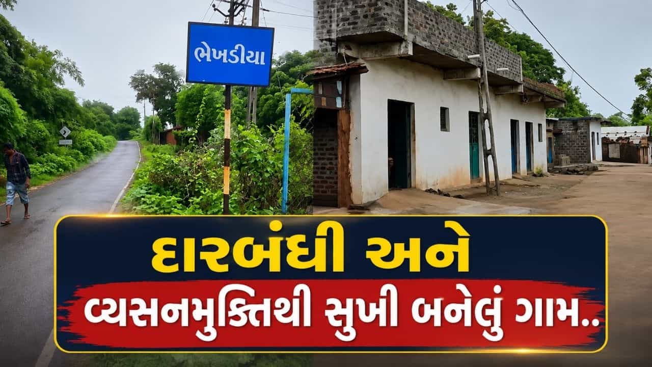 દારૂબંધી અને વ્યસનમુક્તિથી સુખી બનેલું ગુજરાતનું આ ગામ, આદિવાસી ગામની પ્રેરણાદાયી ગાથા જાણી ચોંકી જશો