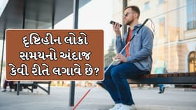 દૃષ્ટિહીન લોકોને દિવસ-રાત થવાનો સંકેત કેવી રીતે મળે છે? જાણો વિજ્ઞાન