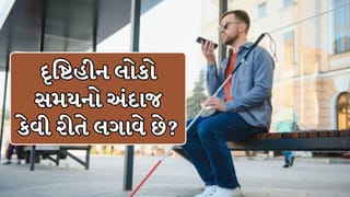 દૃષ્ટિહીન લોકોને દિવસ-રાત થવાનો સંકેત કેવી રીતે મળે છે ? જાણો વિજ્ઞાન