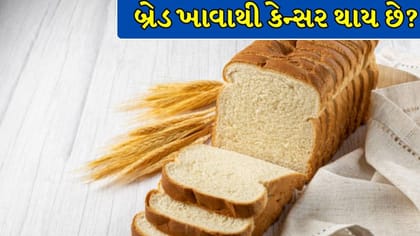 બ્રેડ ખાવાથી ખરેખર કેન્સર થાય છે? વાયરલ દાવામાં કેટલું સત્ય છે !