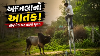 મોતના આતંક વચ્ચે યુવક માટે વીજપોલ સહારો બન્યો,જુઓ Video