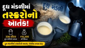 દૂધ મંડળીમાં 15,200 ની દૂધની ચોરીનો નિષ્ફળ પ્રયાસ