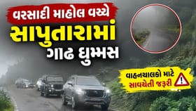 રજાઓમાં સાપુતારા ફરવા જવાનું છે? તો ગાડીની સ્પીડ ઓછી રાખજો