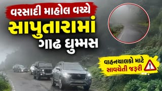 Breaking News : ફરવા સાપુતારા જઈ રહ્યા છો તો ગાડીની સ્પીડ ધીમી રાખજો, ગાઢ ધુમ્મસથી વાહનચાલકોને મુશ્કેલી પડશે