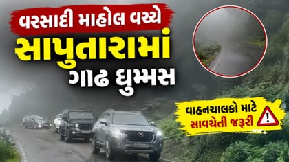 રજાઓમાં સાપુતારા ફરવા જવાનું છે? તો ગાડીની સ્પીડ ઓછી રાખજો