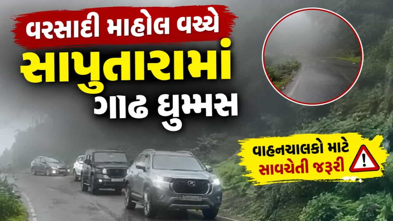 Breaking News : ફરવા સાપુતારા જઈ રહ્યા છો તો ગાડીની સ્પીડ ધીમી રાખજો, ગાઢ ધુમ્મસથી વાહનચાલકોને મુશ્કેલી પડશે