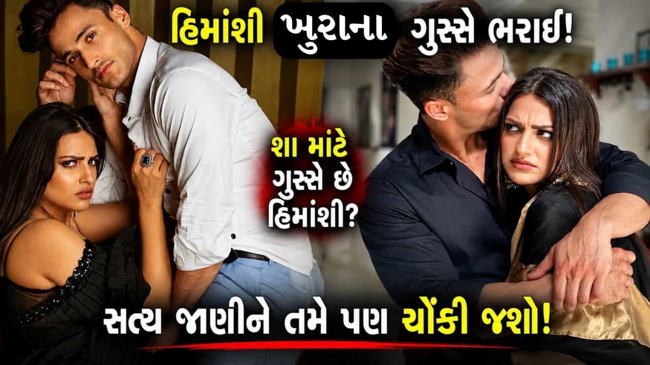 Himanshi On Asim : આસીમ રિયાઝના આરોપોથી હિમાંશી ખુરાના ગુસ્સે થઈ, ચેતવણી આપી