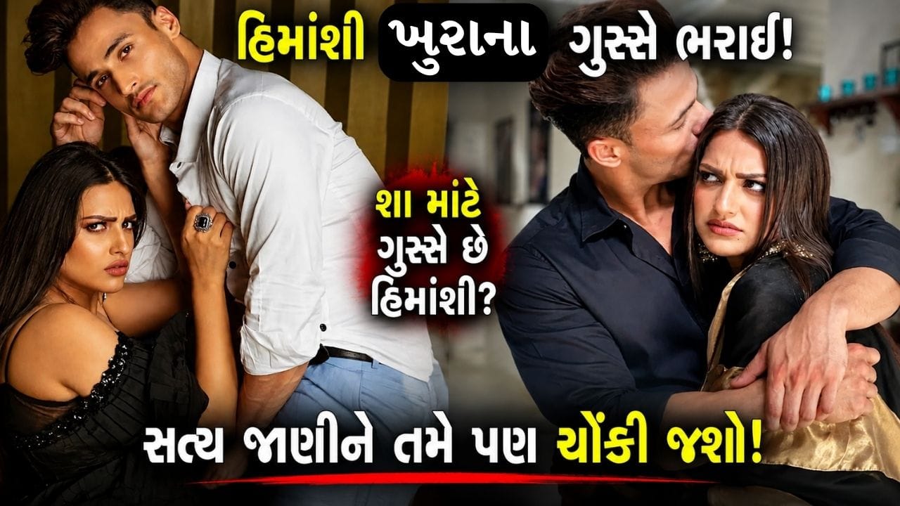 Himanshi On Asim : આસીમ રિયાઝના આરોપોથી હિમાંશી ખુરાના ગુસ્સે થઈ, ચેતવણી આપી