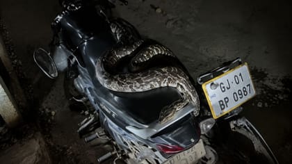 Breaking News : ​જૂનાગઢમાં ​પાર્ક કરેલી બાઇક પર અજગર વીંટળાયો