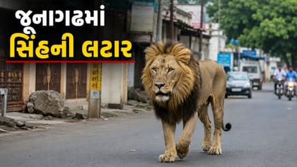 ભવનાથમાં સિંહે મારી લટાર, જુઓ Video