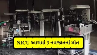 Breaking News: અમરાવતી હોસ્પિટલના NICUમાં આગનો કહેર, 3 નવજાતનાં મોત, 6 બાળકોને અન્ય હોસ્પિટલમાં ખસેડાયા