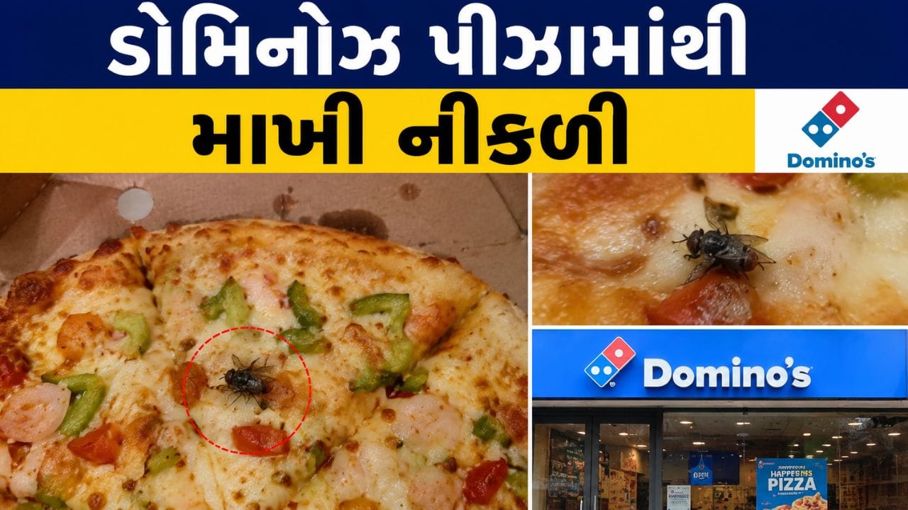 રાજકોટ Domino's Pizza માંથી નીકળી માખી
