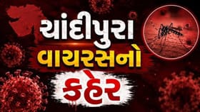 જામનગરમાં મૃતક બાળકનો ચાંદીપુરા વાયરસનો રિપોર્ટ પોઝિટિવ