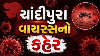 Breaking News : મહિસાગરના આકલિયા ગામની 7 વર્ષીય બાળકીનું ચાંદીપુરાથી મોત