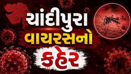 જામનગરમાં મૃતક બાળકનો ચાંદીપુરા વાયરસનો રિપોર્ટ પોઝિટિવ