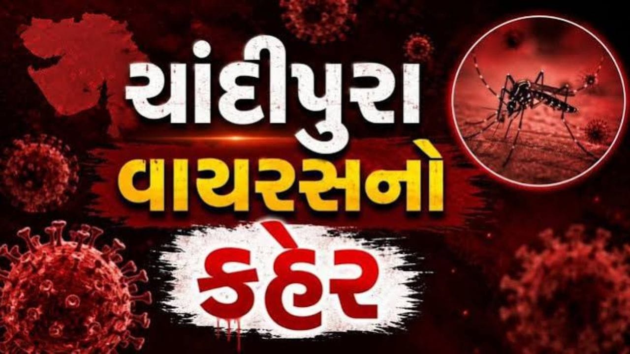 Breaking News : મહિસાગરના આકલિયા ગામની 7 વર્ષીય બાળકીનું ચાંદીપુરાથી મોત Breaking News : મહિસાગરના આકલિયા ગામની 7 વર્ષીય બાળકીનું ચાંદીપુરાથી મોત