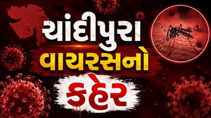 ગુજરાતમાં ચાંદીપુરા વાયરસનો કહેર, 39 પોઝિટિવ કેસ, 23 મોત નોંધાયા