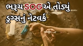 વડાપ્રધાન મોદીના નશા મુક્ત યુવા અભિયાન અંતગત ભરૂચ SOG એક્શન મોડમાં