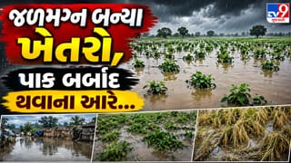 Banaskantha Rain Video: ડીસામાં ભારે વરસાદ બાદ ખેતરો જળમગ્ન, પાક બર્બાદ થવાની ભીતિ